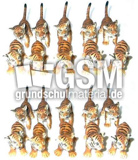Tiger2x10.jpg